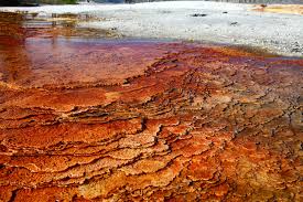 Geological Evidence in Global