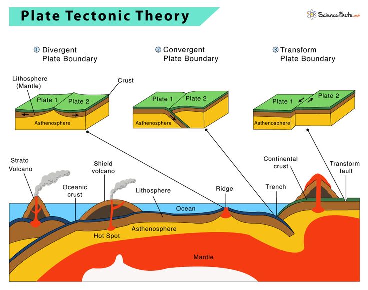 Plate Tectonics and the Dynamic Forces Shaping Earth